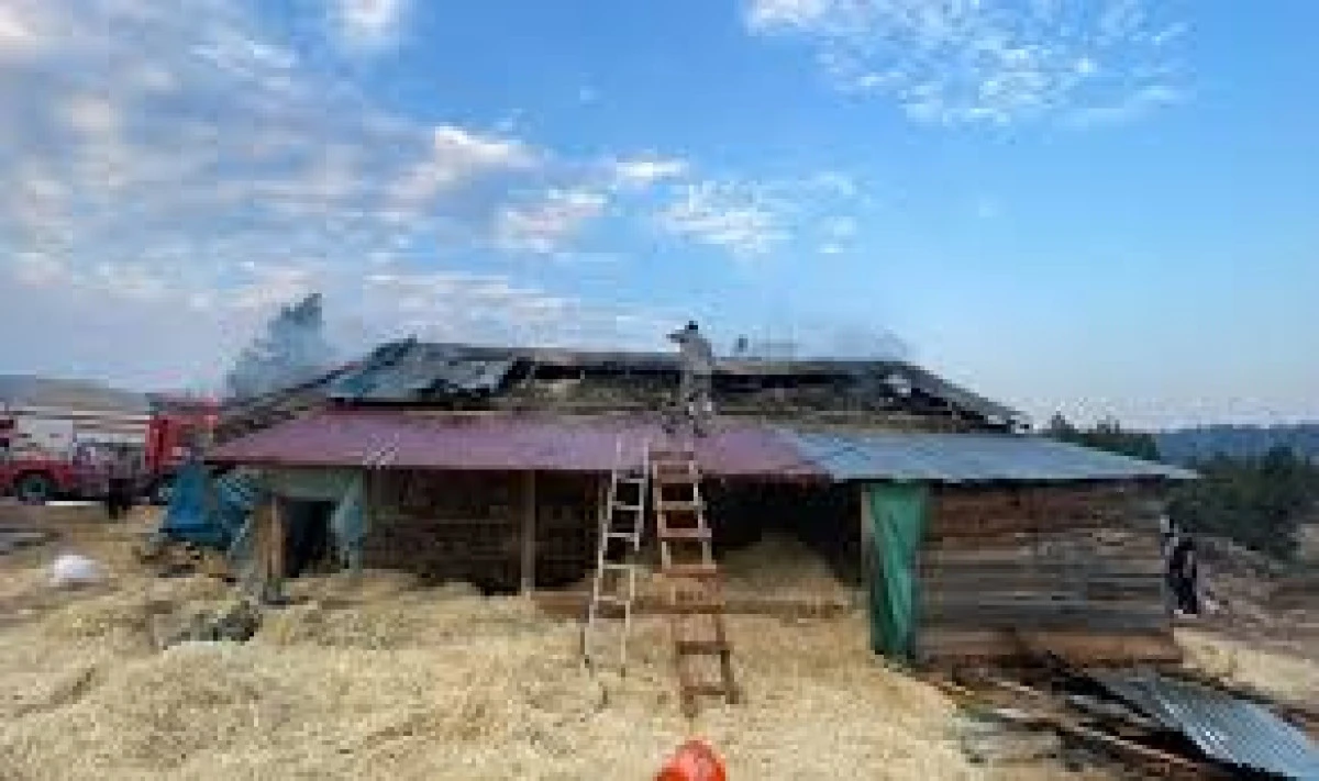 Adana'da Samanlık Yangını Söndürüldü