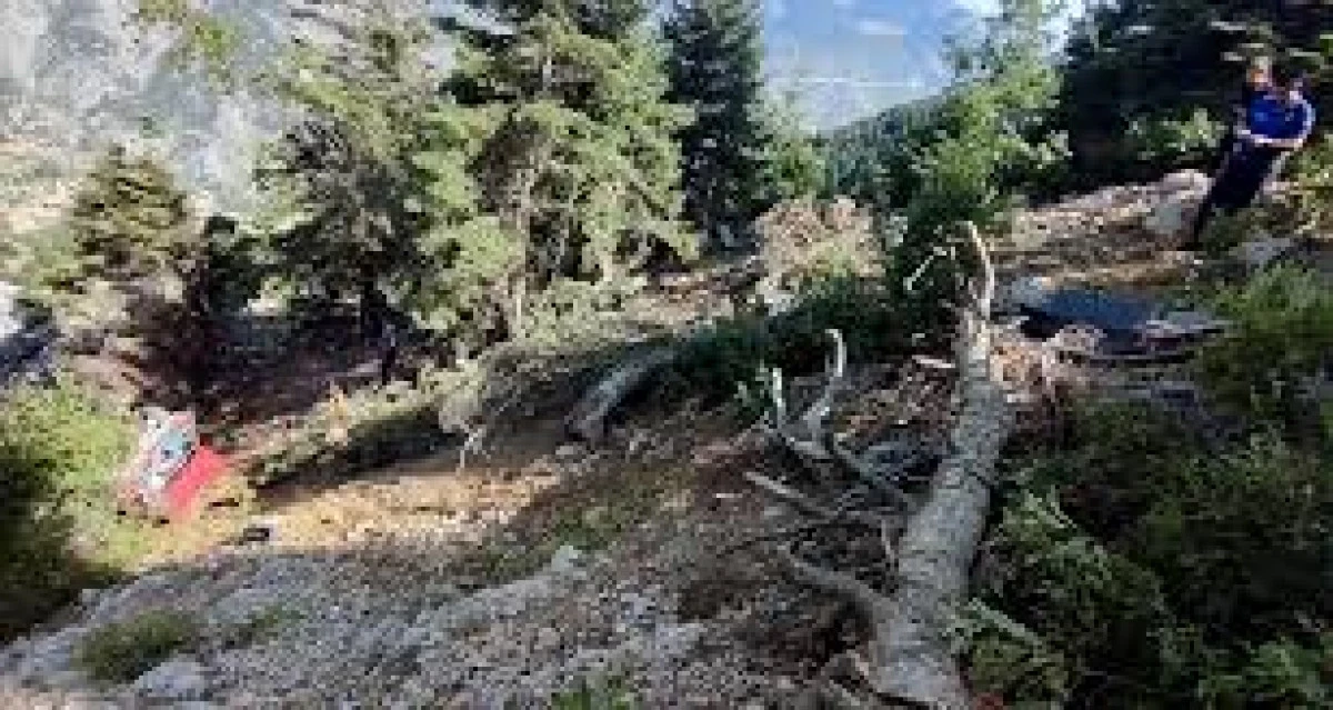 Adana'da Uçuruma Yuvarlanan Otomobilin Sürücüsü ve Yanındaki Kişi Hayatını Kaybetti