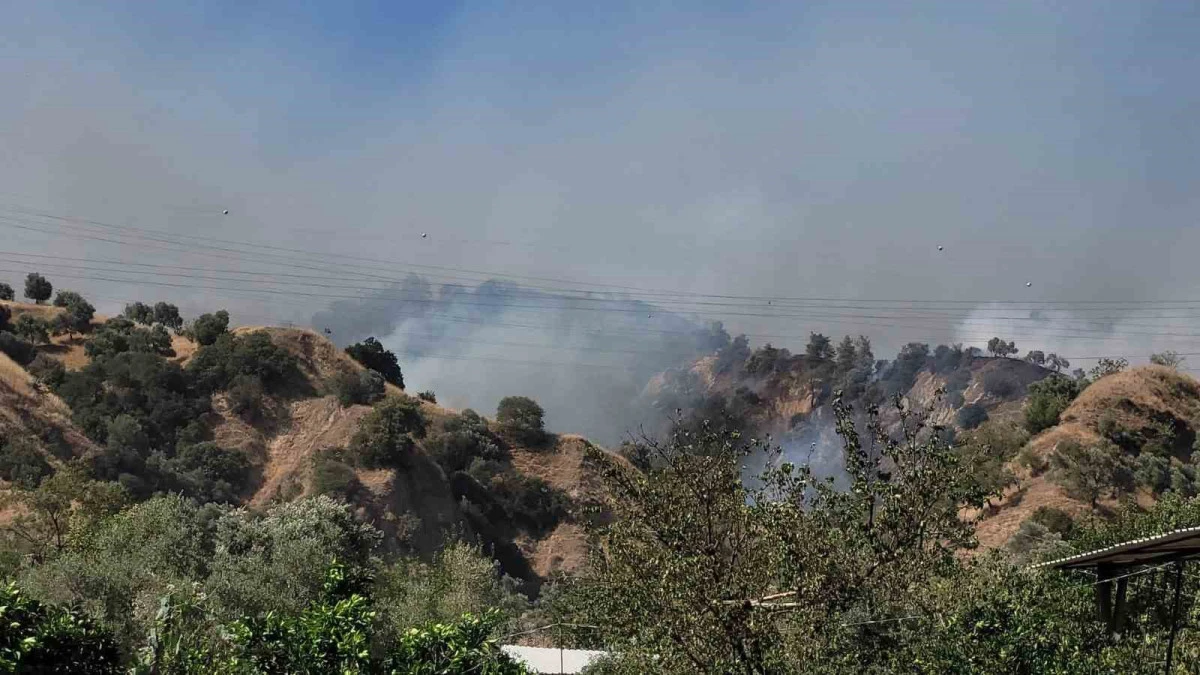 Aydın'da Zirai Alandan Ormana Sıçrayan Yangınla Mücadele Sürüyor
