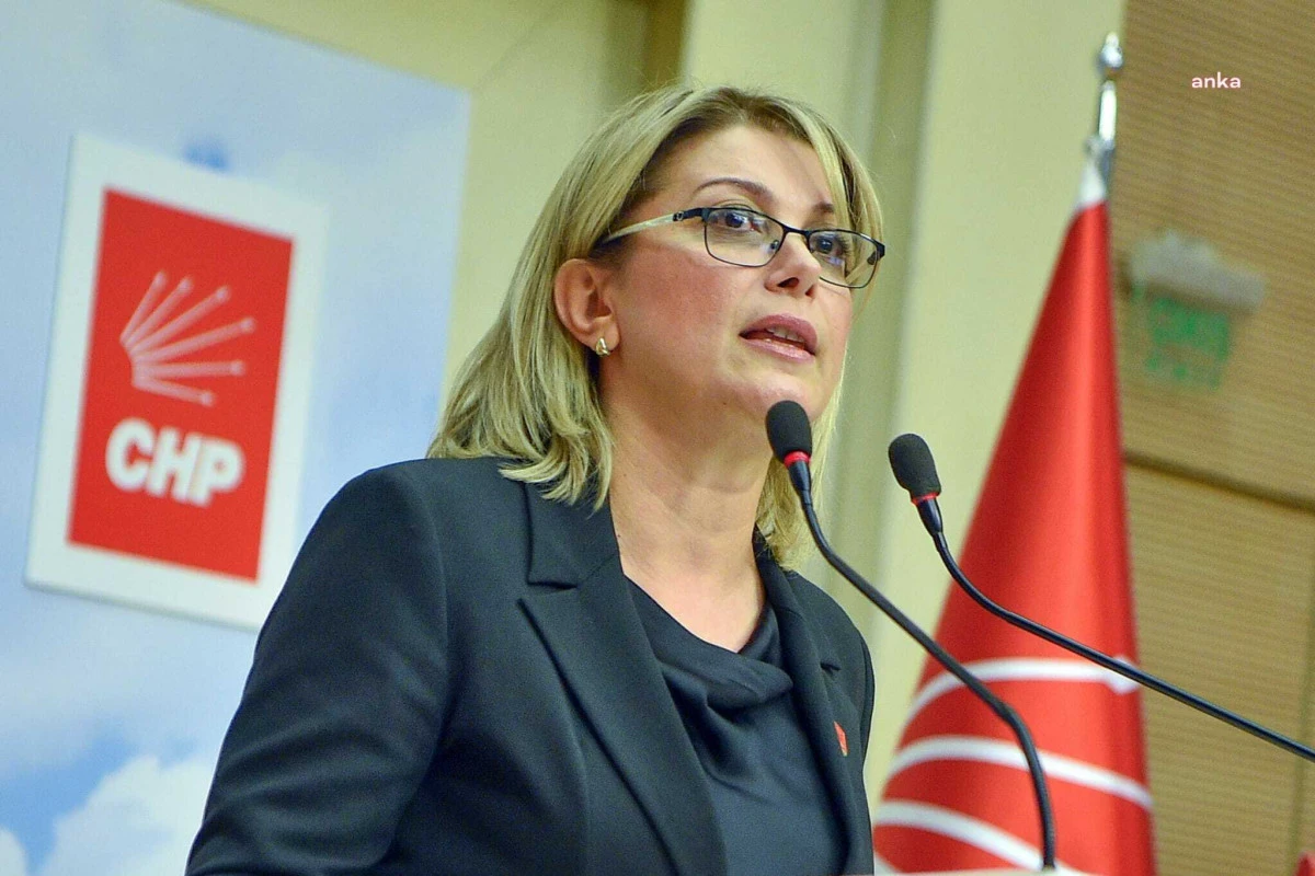 CHP Kadın Kolları Genel Başkanı Asu Kaya'dan kadın cinayetlerine sert tepki: 