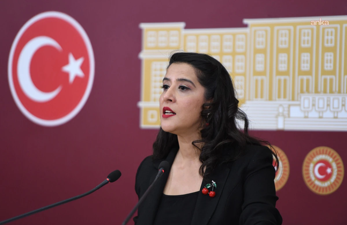 EMEP'Lİ KARACA, ASGARİ &Uuml;CRETLE GE&Ccedil;İNEMEYEN 3 &Ccedil;OCUK BABASININ, &Ouml;TANAZİ İ&Ccedil;İN VALİLİĞE BAŞVURMASINI TBMM G&Uuml;NDEMİNE TAŞIDI