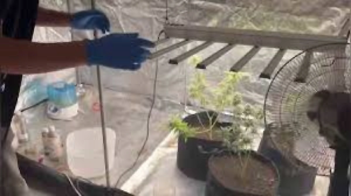 EVİNE KURDUĞU ÖZEL SİSTEMLE UYUŞTURUCU ÜRETİRKEN YAKALANDI