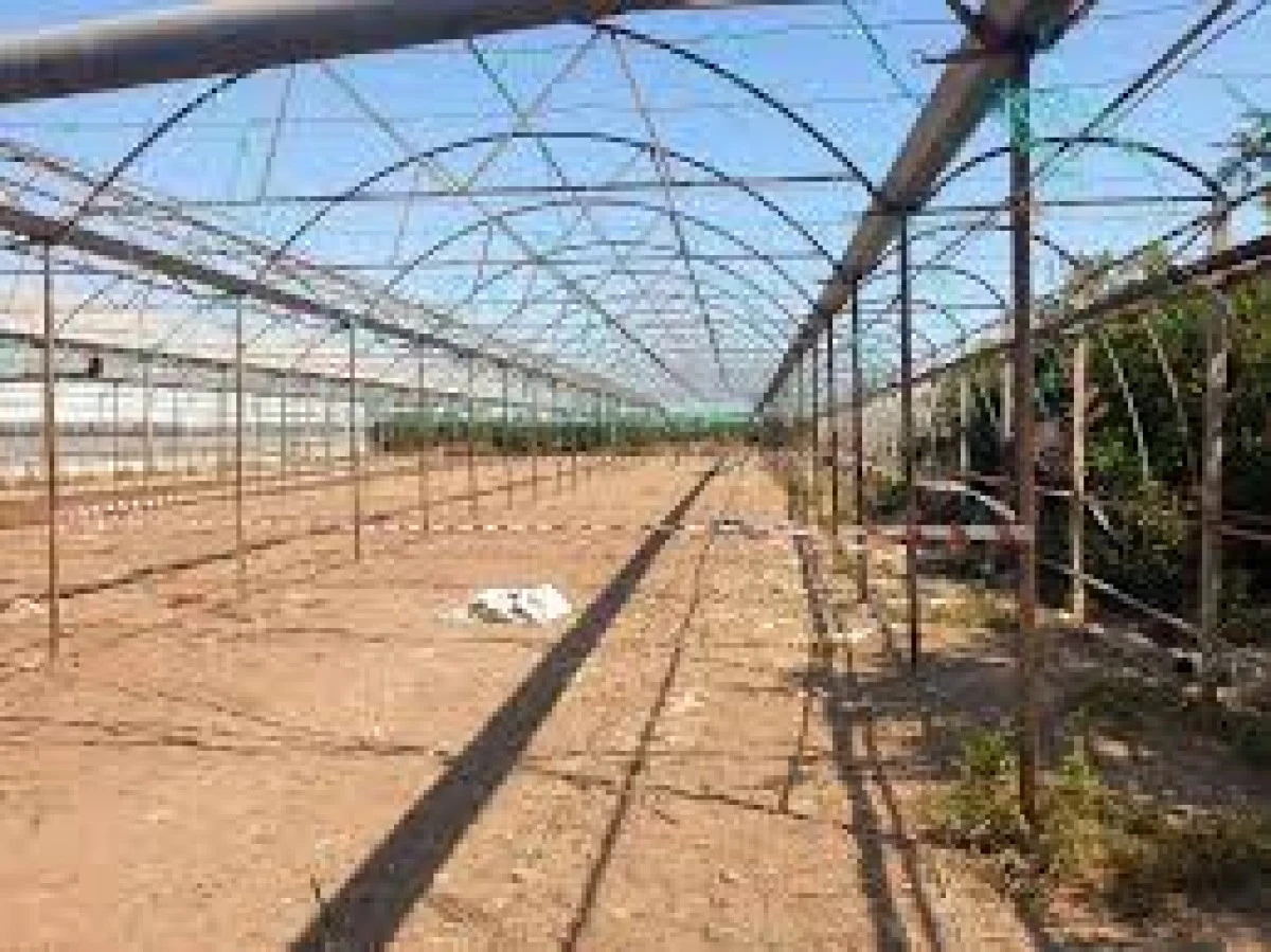 Finike'de Serada Silahlı Saldırı: 2 Kişi Hayatını Kaybetti