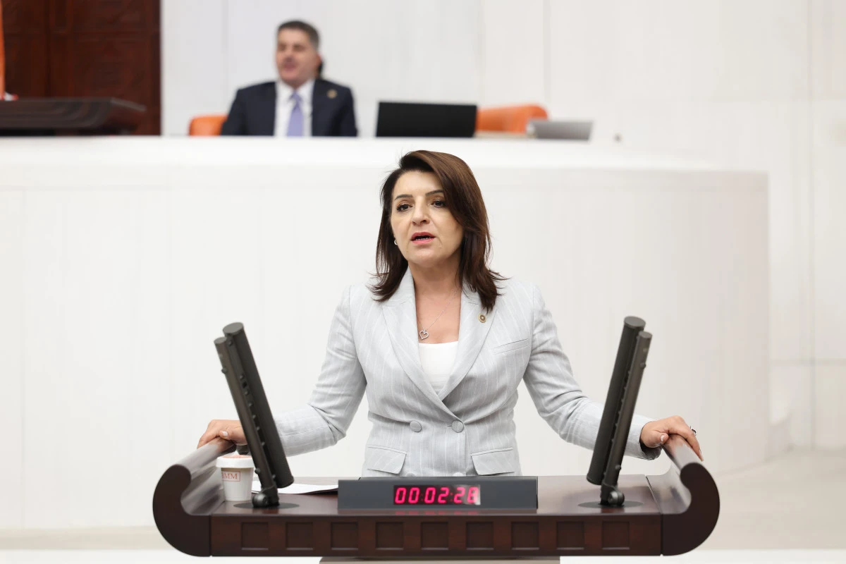 G&Uuml;LCAN KIŞ: &ldquo;SARAY&rsquo;DAN BELEDİYELERE MALİ İNFAZ!&rdquo;