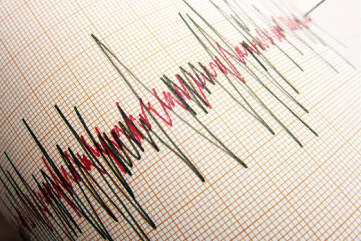 G&Uuml;NEY AMERİKA &Uuml;LKESİNDE 7.1 B&Uuml;Y&Uuml;KL&Uuml;Ğ&Uuml;NDE DEPREM! TSUNAMİ UYARISI VERİLDİ