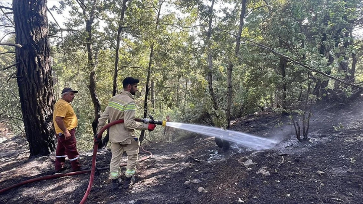 Hatay'da Orman Yangını Kontrol Altına Alındı