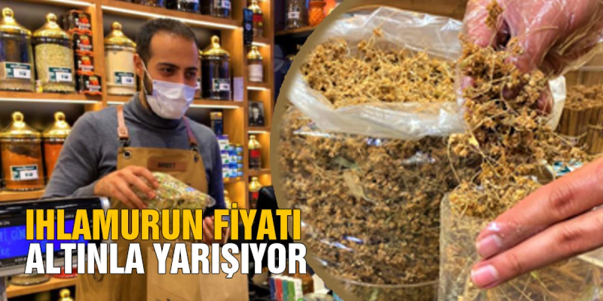 IHLAMURUN FİYATI ALTINLA YARIŞIYOR