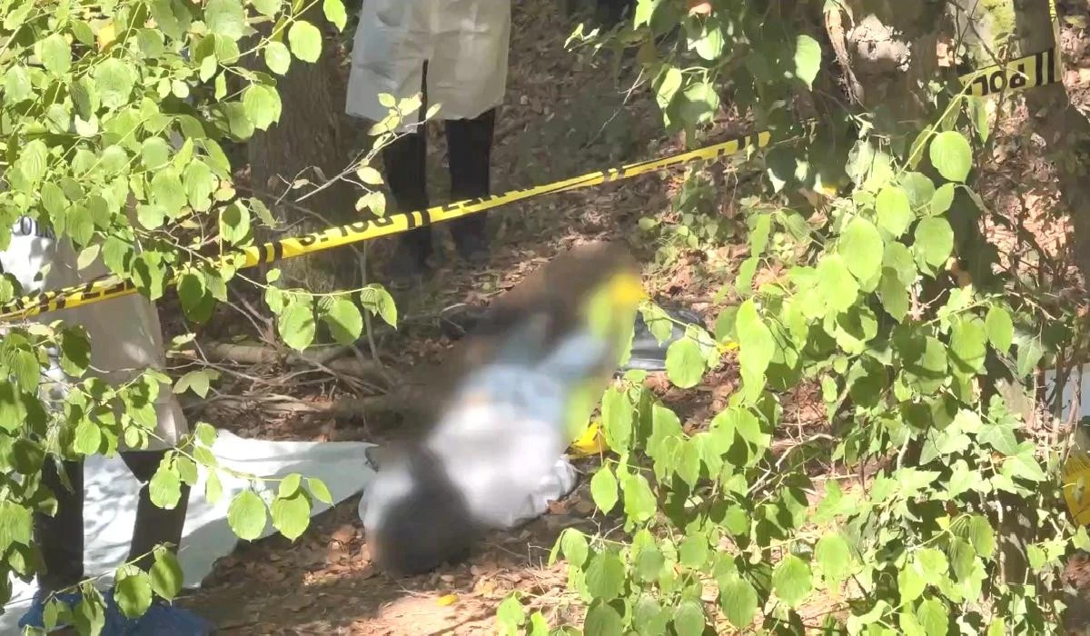   İstanbul'da Başına Poşet Geçirilmiş Ceset Bulundu: Rus Vatandaşı Usman Amriev'e Ait