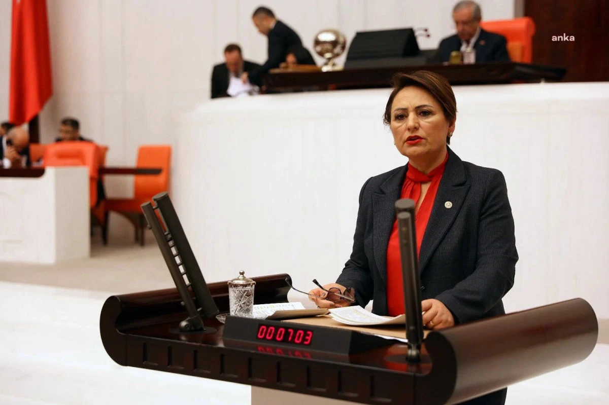 Müzeyyen Şevkin: Hükümet, ekonomik buhrandan kaynaklı cinayet, gasp ve intihar vakalarını açıklamalı