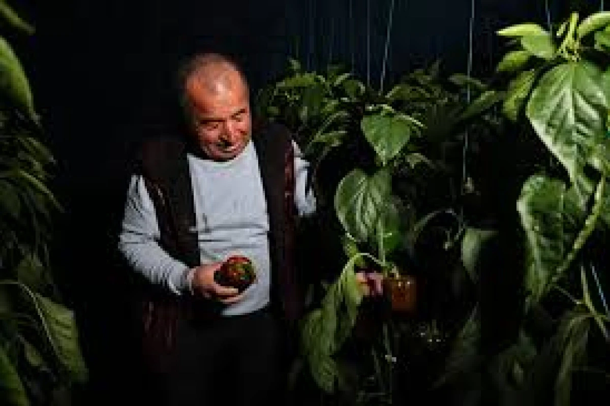  SERALARDA DONA KARŞI SICAKLIKLAR CEP TELEFONUNDAN ANLIK TAKİP EDİLİYOR