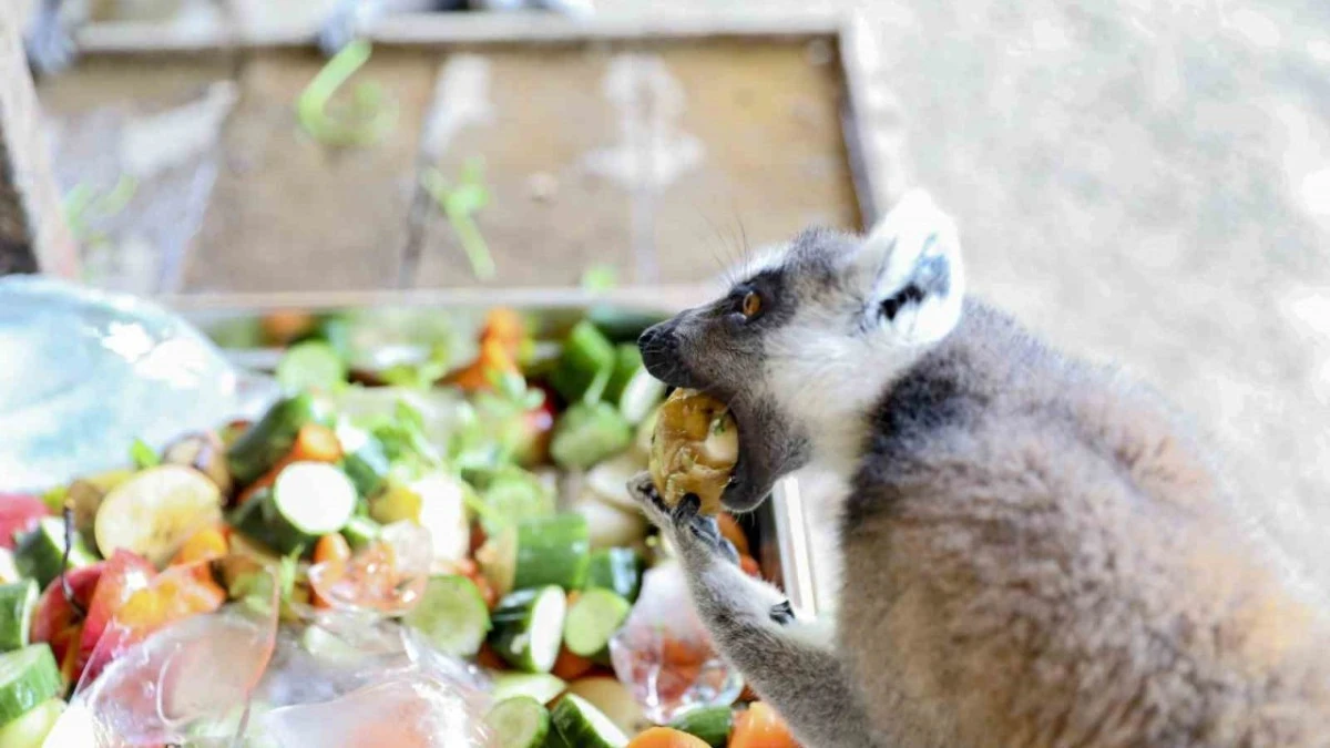 Tarsus Doğa Parkı'nda Sıcak Havalarla Mücadele Yöntemleri
