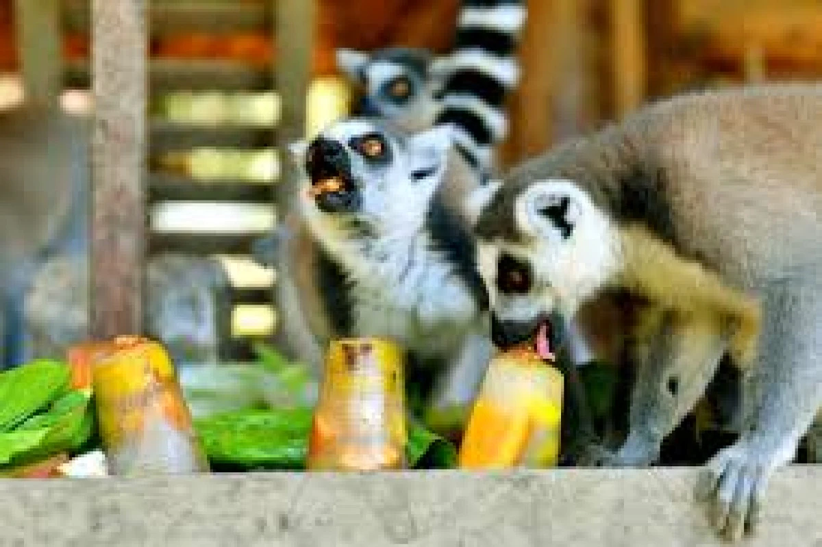 Tarsus Doğa Parkı'ndaki Hayvanlar Aşırı Sıcağa Karşı Serinletiliyor