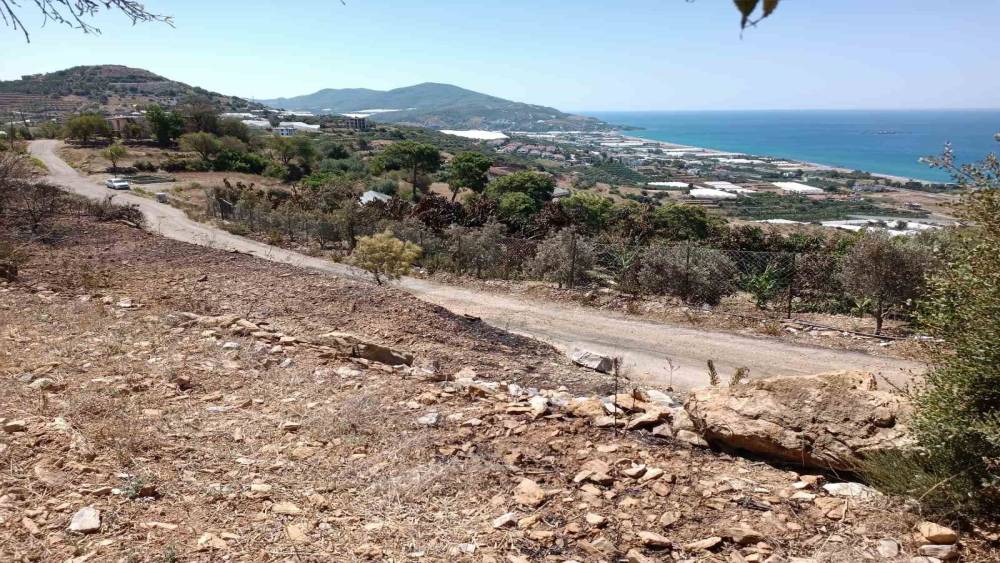 Alanya’da avokado bahçesinde çıkan yangında 9 dönüm alan zarar gördü