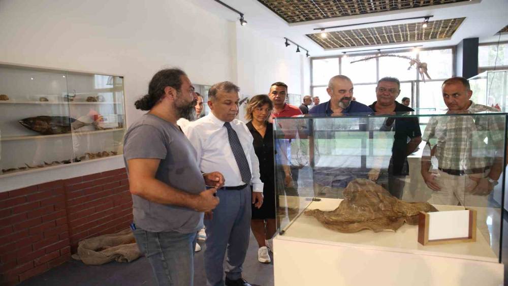 BÖLGENİN İLK DENİZ CANLILARI MÜZESİ MERSİN’DE AÇILIYOR