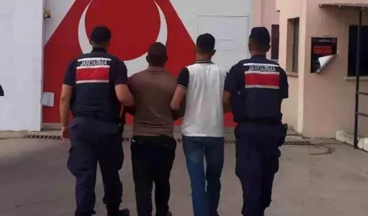 Osmaniye'de Jandarma Operasyonları: 114 Şüpheli Gözaltında