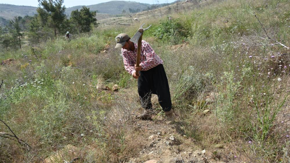 MERSİN’DE YANAN ORMAN SAHALARINDA BAKIM ÇALIŞMALARI TAMAMLANDI