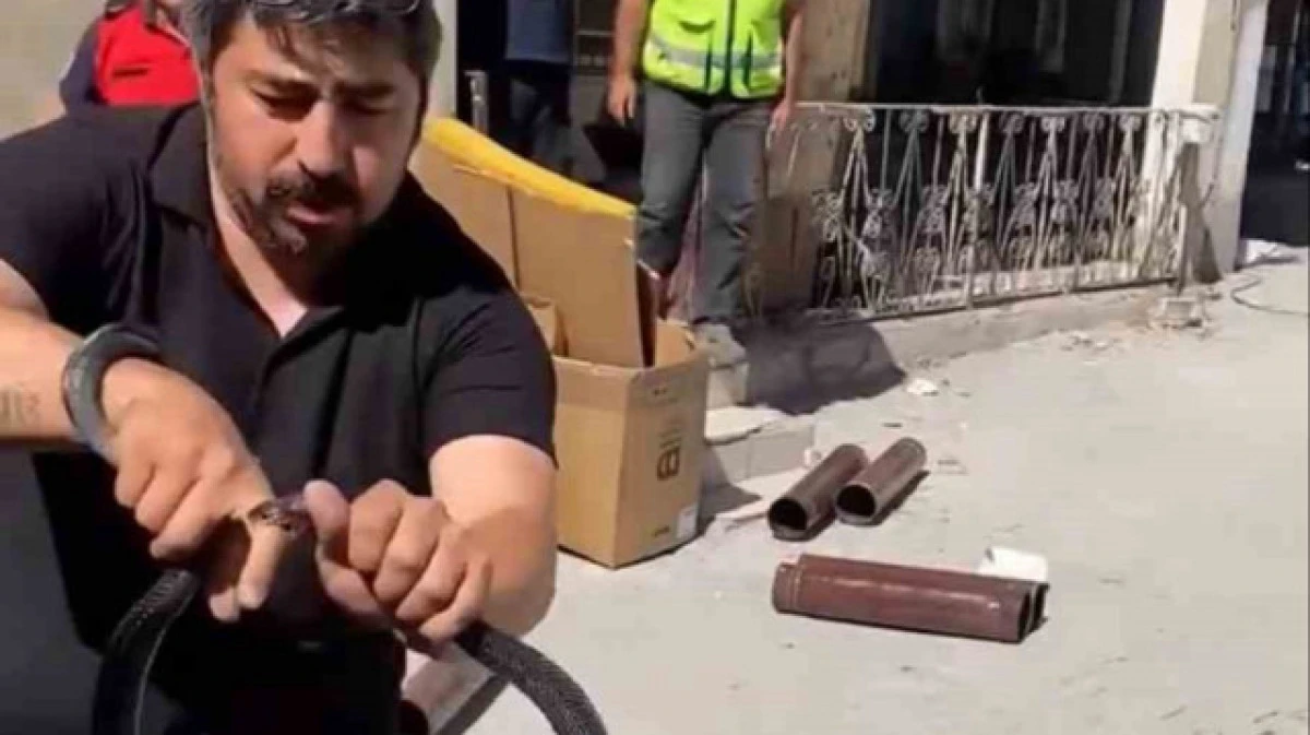 EVE GIREN YILANI YAKALAMAK ISTERKEN PARMAĞINI KAPTIRDI, KORKU DOLU ANLAR KAMERADA