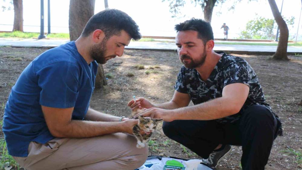 KALEİÇİ’NDEKİ KEDİ VE KÖPEKLERE İÇ-DIŞ PARAZİT İLAÇLAMASI