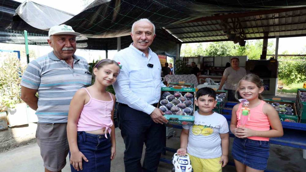 MERSİN’DE SİYAH İNCİR HASADI YAPILDI