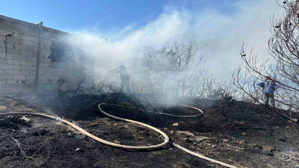 HATAY’DA ZEYTİNLİK VE ÇALILIK ALANDA ÇIKAN YANGIN KONTROL ALTINA ALINDI