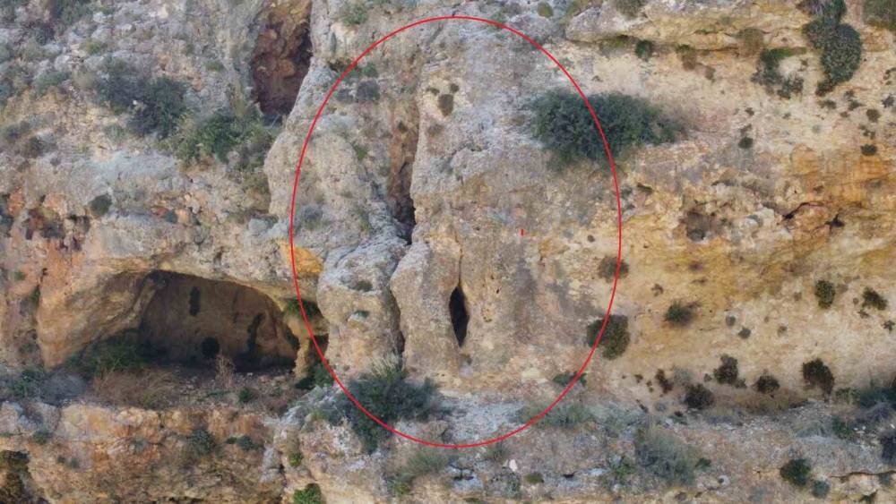 YAŞAM KAYALARINDA DİKKAT ÇEKEN GÖRÜNTÜ: AYIYI ANDIRAN KAYA