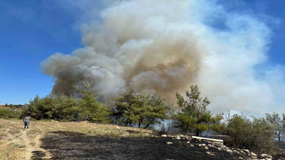 ADANA’DA ORMAN YANGINI ÇIKTI