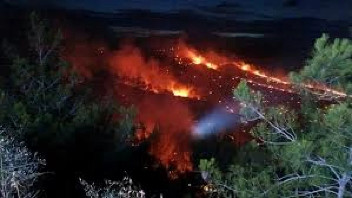 ADANA’DA ORMAN YANGINI