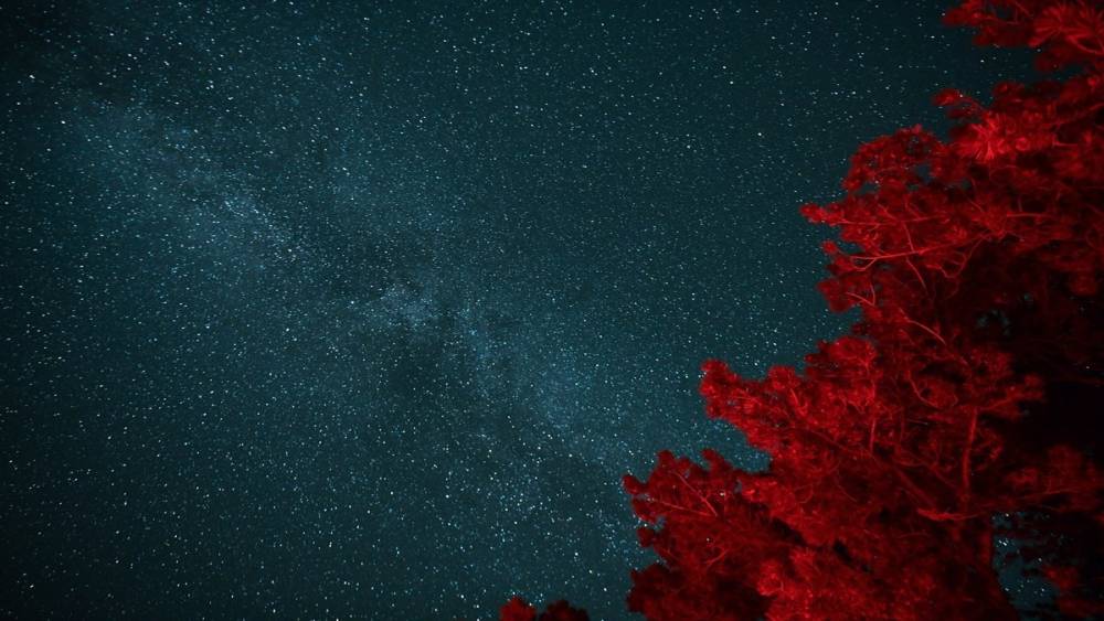 TÜRKİYE’NİN EN KARANLIK NOKTASINDA GÖKYÜZÜ GÖZLEM ŞENLİĞİ