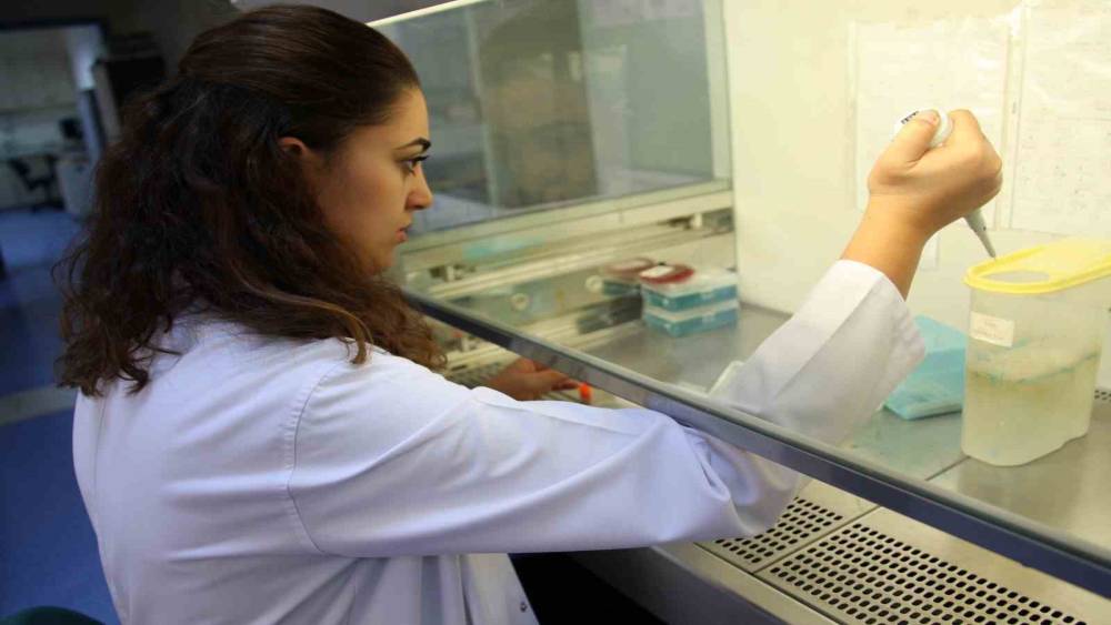 AKDENİZ ÜNİVERSİTESİ, THE 2024 DÜNYA ÜNİVERSİTELERİ SIRALAMASINDA İLK BİN 200 ÜNİVERSİTE ARASINDA