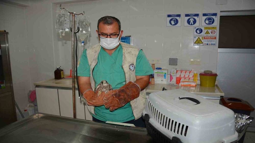 ÇUKUROVA’NIN TEDAVİ VE REHABİLİTASYON MERKEZİ: TARSUS DOĞA PARKI