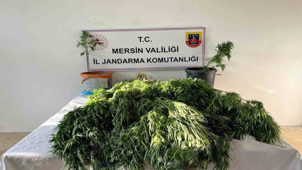 MERSİN’DE UYUŞTURUCU SATICILARINA OPERASYON: 3 GÖZALTI