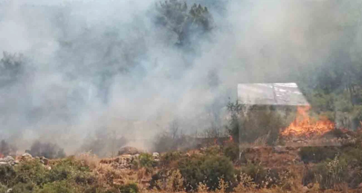 Mersin Bozyazı'da Orman Yangını Kontrol Altına Alındı