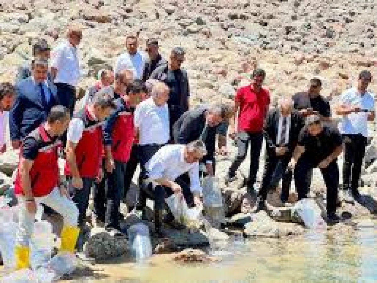 KARACAÖREN GÖLETİNE İLK KEZ 10 BİN PULLU SAZAN YAVRUSU BIRAKILDI