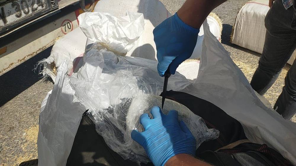 SAMANLARIN İÇİNE SAKLANMIŞ 172 KİLO 200 GRAM SKUNK ELE GEÇİRİLDİ