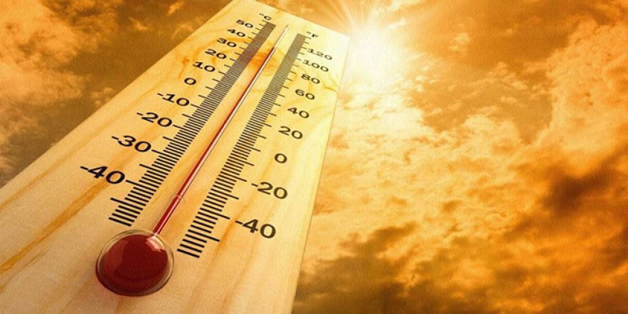 ANTALYA'DA REKOR SICAKLIK DENİZDEKİ BALIK TÜRLERİNİ VE OMURGASIZ CANLILARI YOK EDİYOR