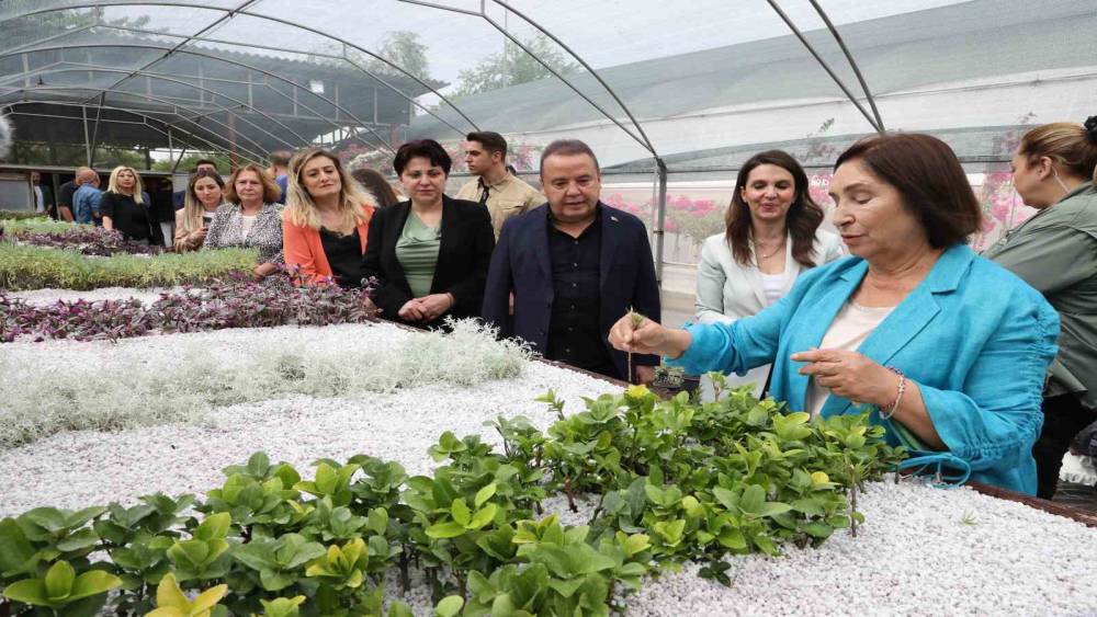 Selvi Kılıçdaroğlu Büyükşehir’in bitki üretim tesisini gezdi