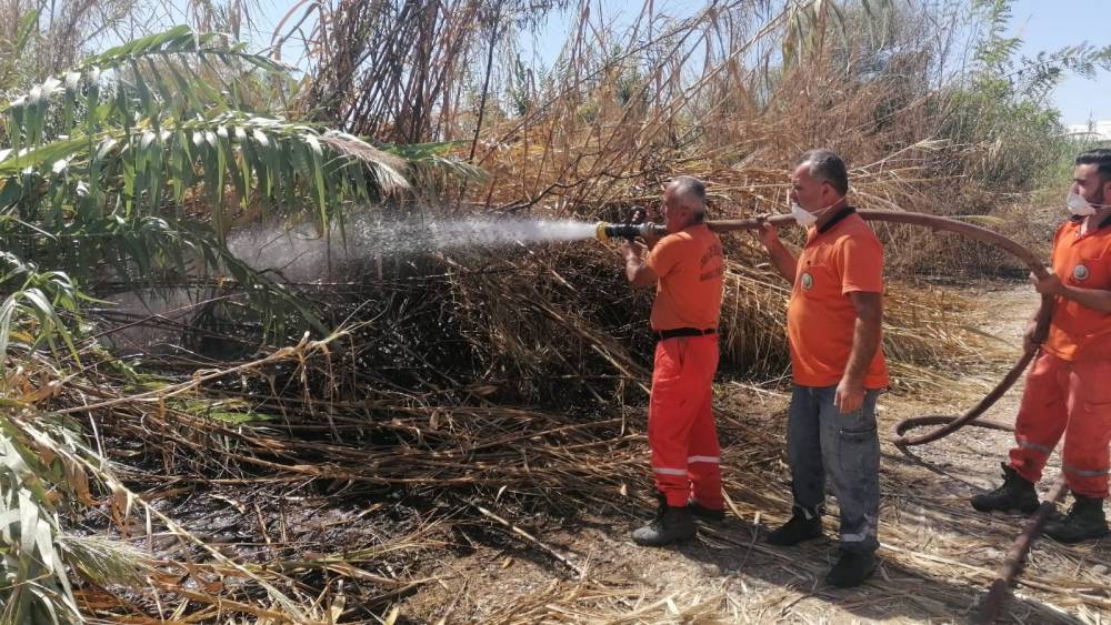Antalya’da sazlık yangınına havadan ve karadan hızlı müdahale