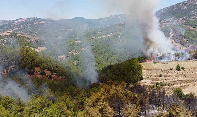 KOZAN’DA YANAN ORMANLIK ALAN BÖYLE GÖRÜNTÜLENDİ