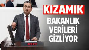 “SAĞLIK BAKANLIĞI KIZAMIK VAKALARINI SAKLIYOR”