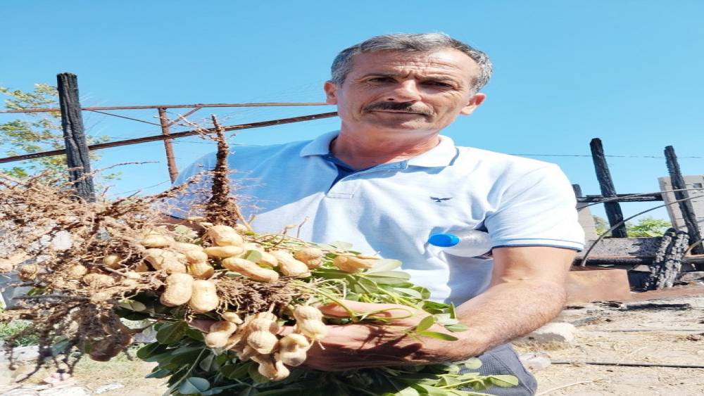 YILIN İLK FISTIĞI 125 TL’DEN ALICI BULUYOR