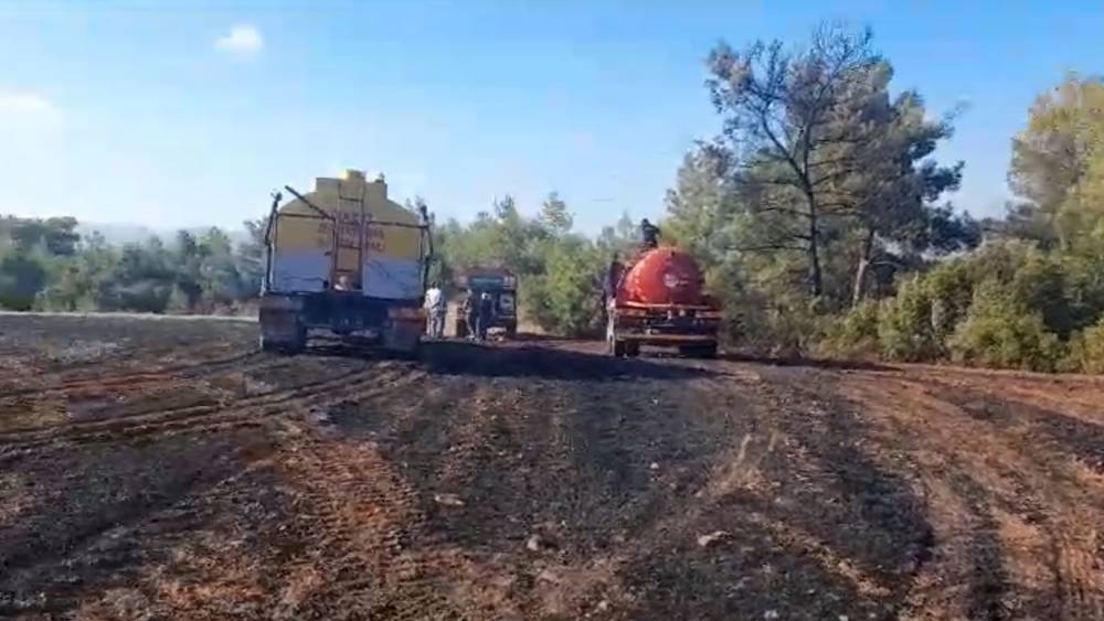 ORMANLIK ALANDA BAŞLAYAN YANGIN TARIM ARAZİSİNE SIÇRADI