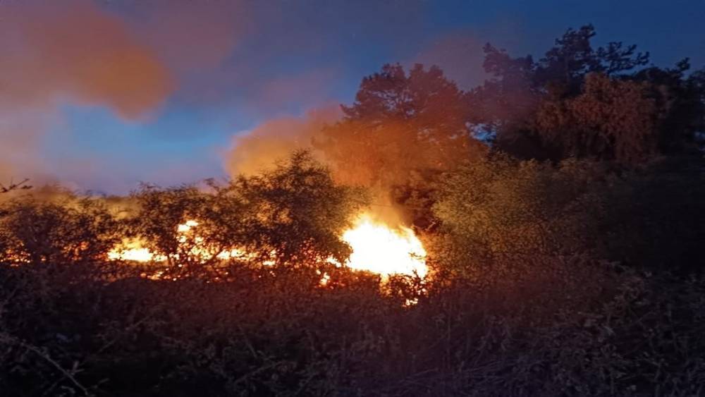 HATAY’DA AĞAÇLIK ALAN YANGINI SÖNDÜRÜLDÜ