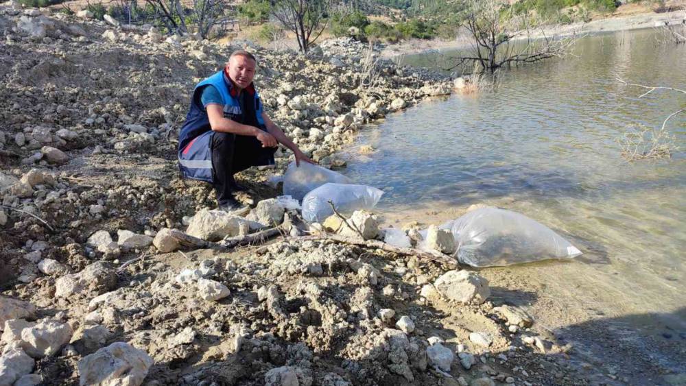 MERSİN’DE DEREYURT GÖLETİNE 15 BİN SAZAN BALIĞI YAVRUSU BIRAKILDI