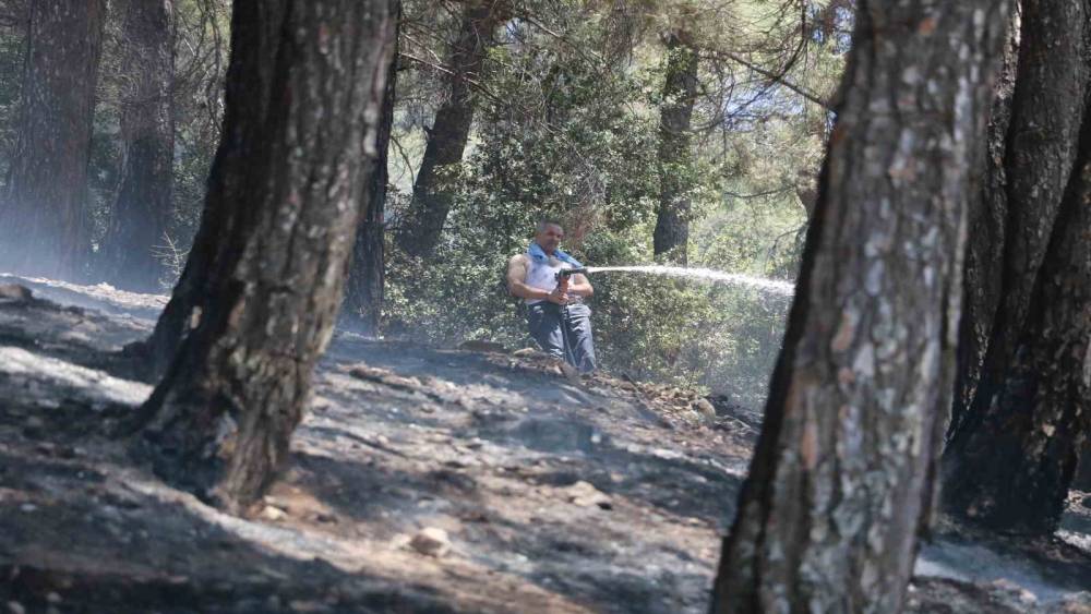 KAHRAMANMARAŞ’TAKİ ORMAN YANGINI KONTROL ALTINA ALINDI