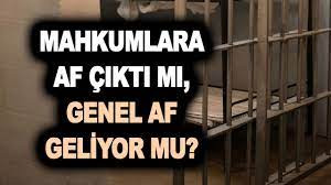 29 EKİM'DE GENEL AF MI GELİYOR?
