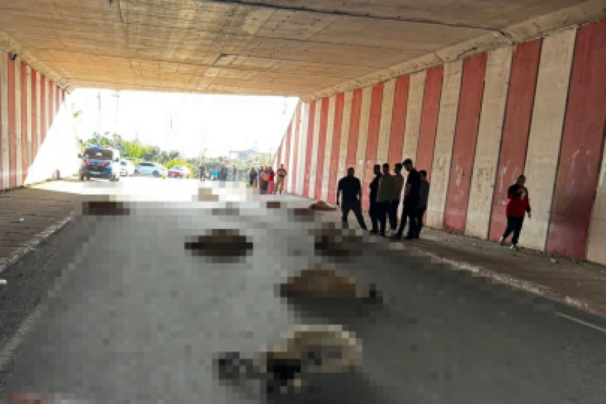 HATAY'DA OTOMOBİLİN ÇARPTPIĞI SÜRÜDEKİ 17 KOYUN ÖLDÜ