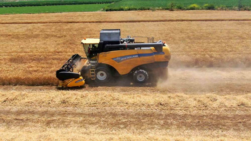 REKOLTE YÜKSEK OLACAK, STRATEJİK ÜRÜN BUĞDAYDA HASAT BAŞLADI
