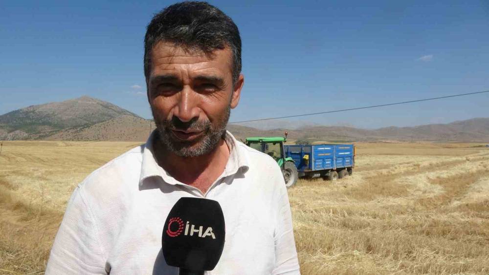 160 Bin Dönümde Buğday Hasadı, Verim Üreticinin Yüzünü Güldürdü