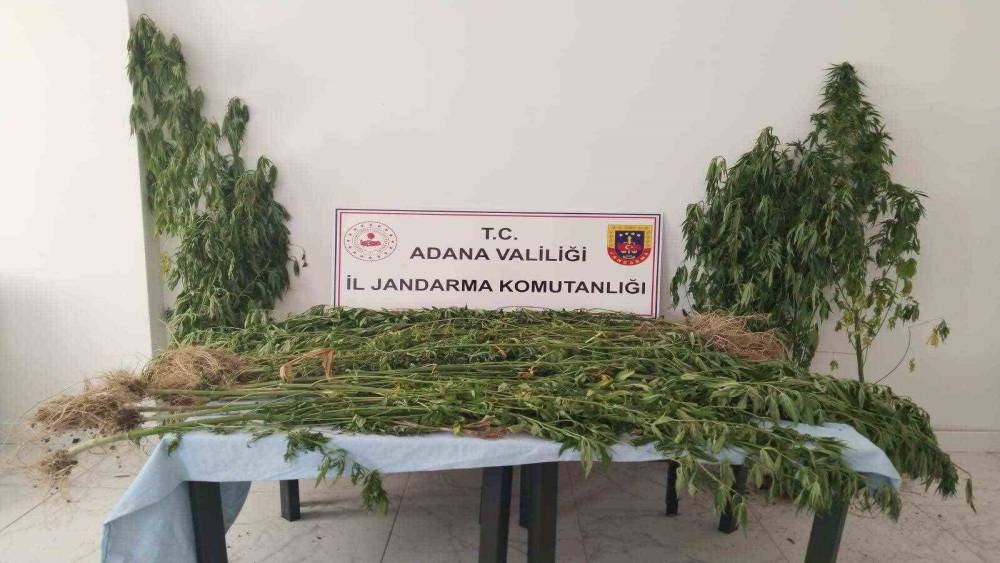 ADANA’DA UYUŞTURUCU İLE MÜCADELE 14 ŞAHIS YAKALANDI