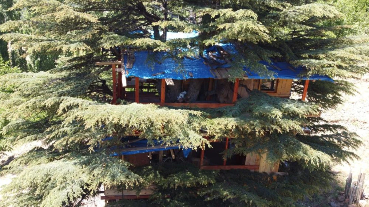 SEDİR AĞACINA 'MASAL DİYARI' EVİ YAPTILAR